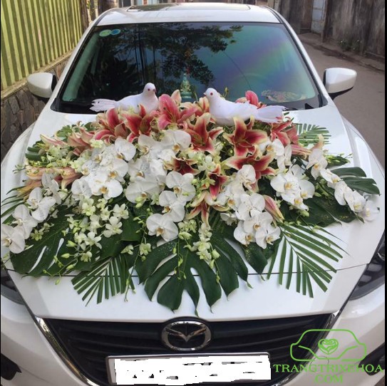 hinh anh trang tri xe hoa 21