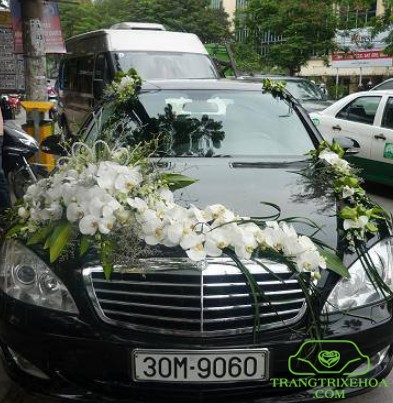 hinh anh trang tri xe hoa 45